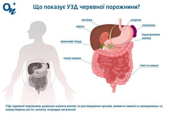 Чи можна пити каву перед УЗД черевної порожнини: поради та рекомендації