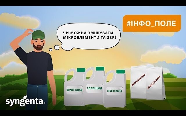 Чи можна змішувати: поради та правила для безпечного змішування продуктів