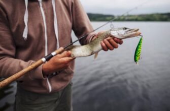 Секрет результативної ловлі: як воблери змінюють підхід до хижої риболовлі