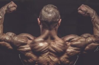 Легальные стероиды: что стоит знать перед выбором