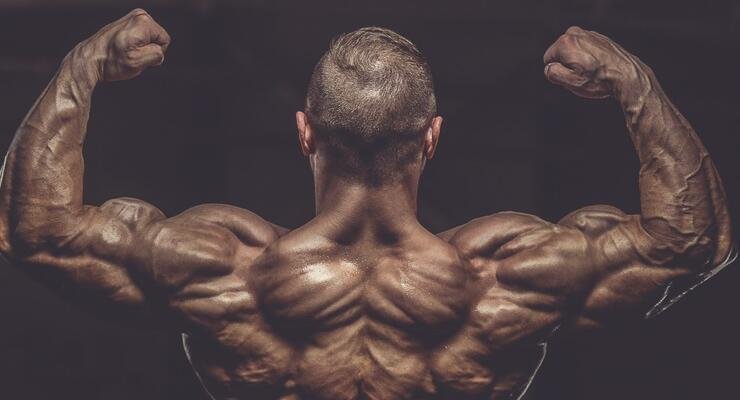 Легальные стероиды: что стоит знать перед выбором