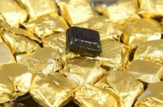 Какой чай взять с собой в путешествие – смола пуэра?